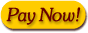 High Bidder - pay now!
